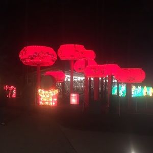 Meet your Posher, Eliza